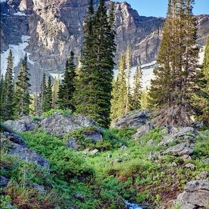 Meet your Posher, Wendy